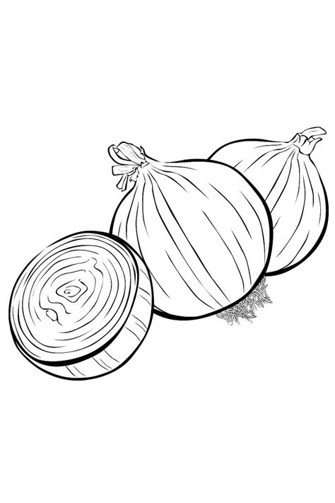 Розмальовка Цибуля