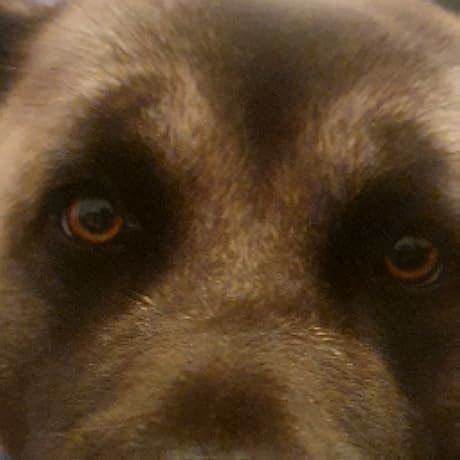 Amazon.com: Francisco de Osuna: The Third Spiritual Alphabet (CLASSICS ...