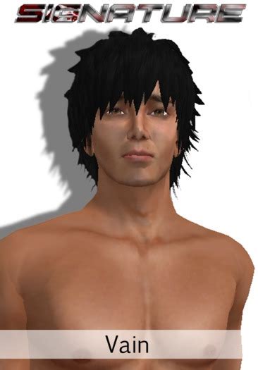 Second Life Marketplace - SIGNATURE [ VAIN ] Skin Set