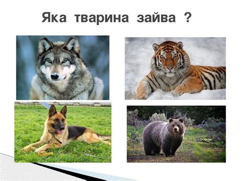 Урок з природознавства | Презентація. Природознавство
