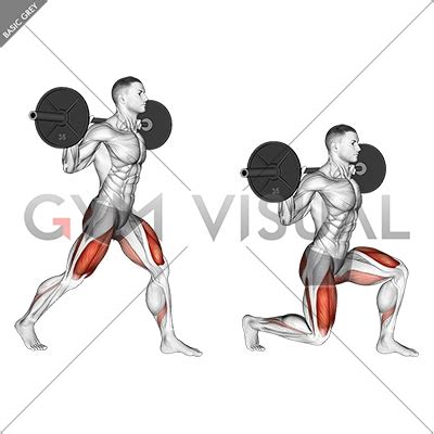 Barbell Split Squat