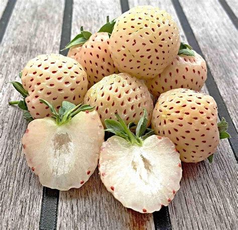 Белая клубника: особенности вида, как выращивать, вкусовые качества ...