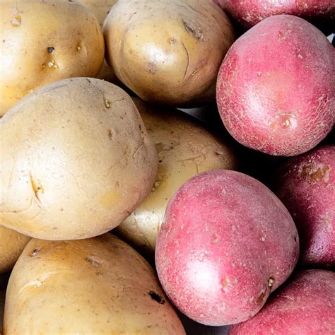 store potatoes tips     long chopnotch