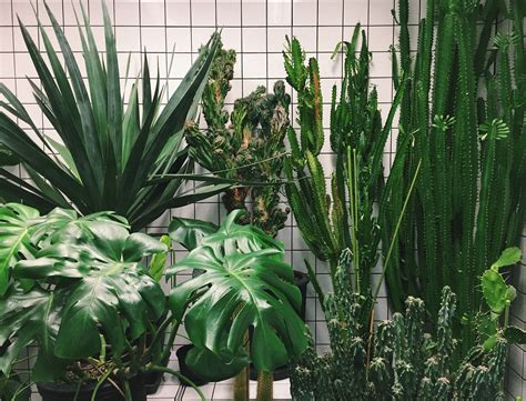 Ceng News - (Pauline Tantot Poses Breavely And Shows Off Her Body To