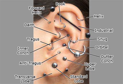 How to Care for a Helix or Forward Helix Piercing - TatRing