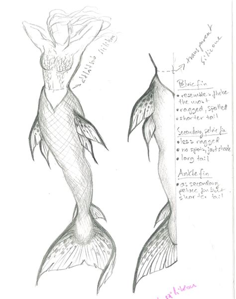 Mermaid Tail Sketch at PaintingValley.com | Explore collection of ...