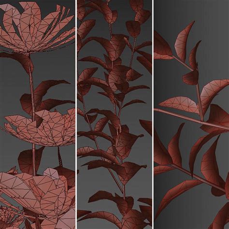 Set Of Aster Tataricus Trees (tatarian Aster) - 3D Model for VRay