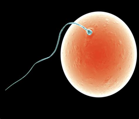 conception  place newspiritualscience