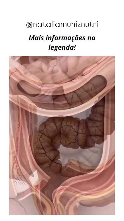 Barriga Roncando Sem Fome - Barriga “roncando” mesmo sem fome? Calma, isso é mais comum do que ...