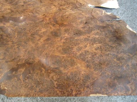Noten Wortel 34x39cm – Hout-Fineer.nl