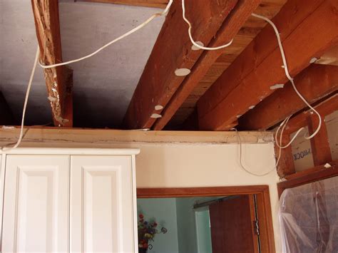 Termite damage behind walls that appeared fine | Somersoft