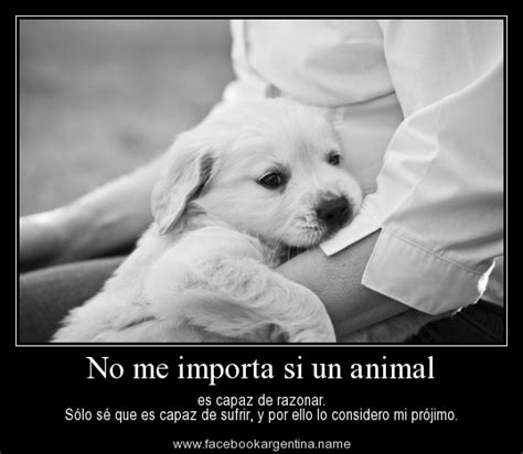 el respeto: respeto a los animales