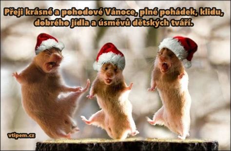 Vánoční přání – krásné obrázky, fotky | Zábavné obrázky ke stažení zdarma