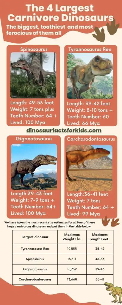 What Were The Largest Meat Eating Dinosaurs? - Dinosaur Facts For Kids