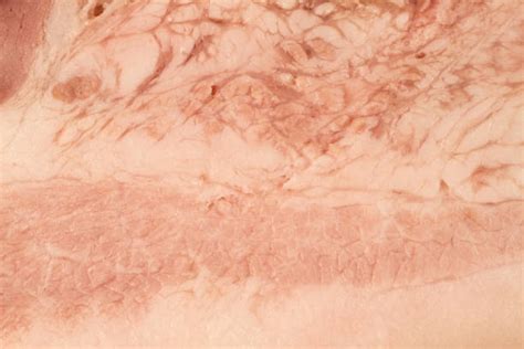 pork texture stock  pictures royalty  images istock