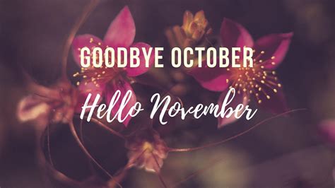 Hello November Desktop Wallpapers - Top Free Hello November Desktop Backgrounds - WallpaperAccess