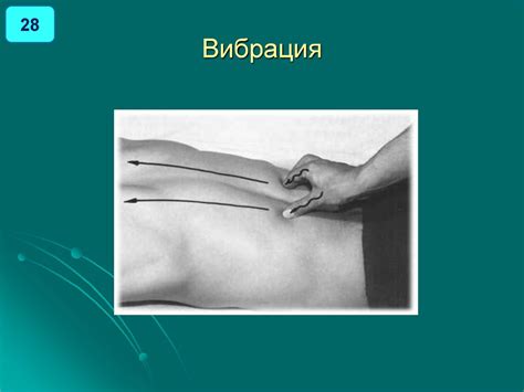 Введение в логопедический массаж. Базовые приемы и экспресс-схемы ...