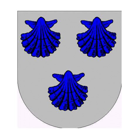 Camelo Escudo de armas, Origen Apellido, Heráldica, genealo