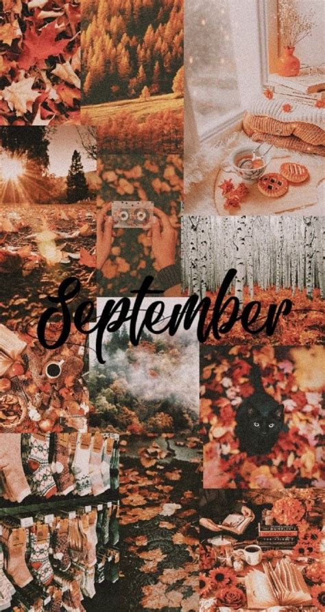 40 Best Fall Collage Ideas : Pretty September - Idea Wallpapers ...