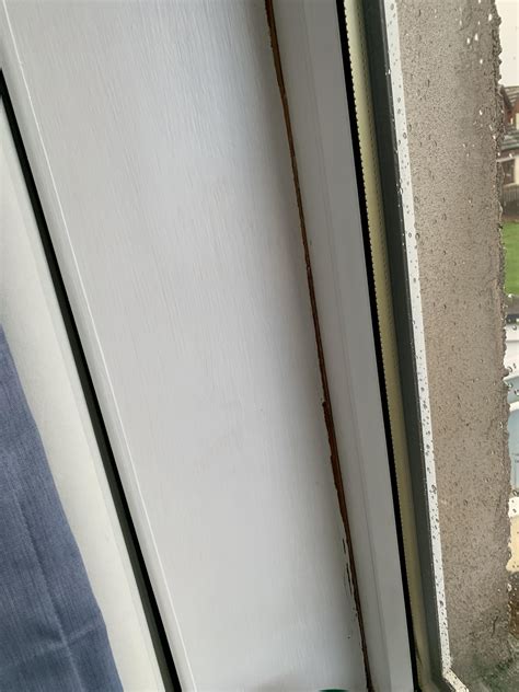 Need to fill gap between our windows and the surrounding wood. What to