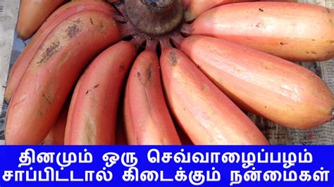 தினமும் ஒரு செவ்வாழைப்பழம் சாப்பிட்டால் கிடைக்கும் நன்மைகள் - YouTube
