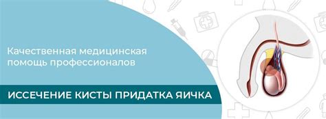 Киста яичка у мужчин. Лечение заболевания и удаление кисты