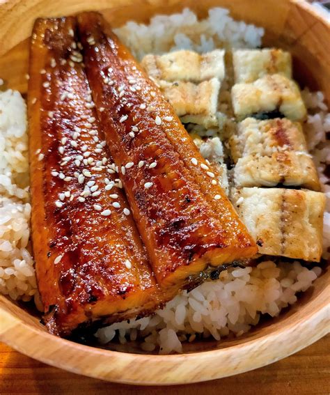 Eel Rice Japanese Cuisine - Free photo on Pixabay - Pixabay