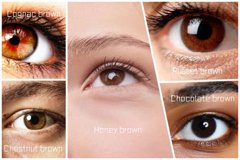 Brown Eyes Facts: What Makes Them Unique - TTDEYE