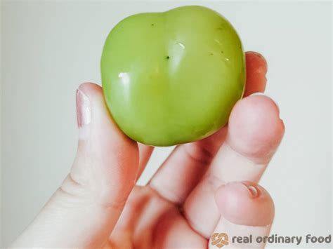 Shine Muscat Grapes — Most Expensive Grapes Ever? - Earth to Veg