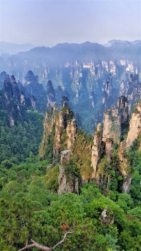 Zhangjiajie Forest Park, China. Well worth the long journey for the ...