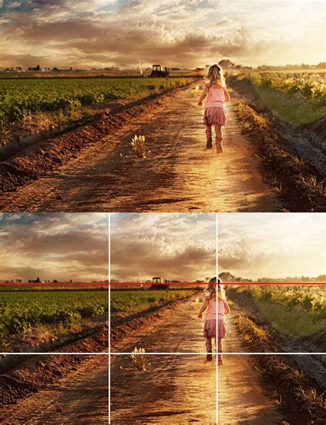 Understanding the Rule of Thirds in Photography | Rule of thirds ...