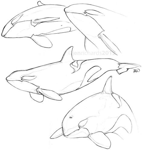 눈이 거기있었구나...? Animal Sketches, Art Drawings Sketches, Easy Drawings ...