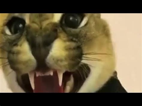 чебупель - YouTube