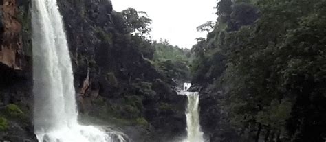 10 beautiful waterfalls in Indore for the nature lovers. - IndoreHD