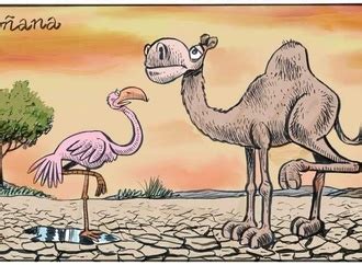 Gallery of the Best World Cartoon-Part 2148 - Irancartoon