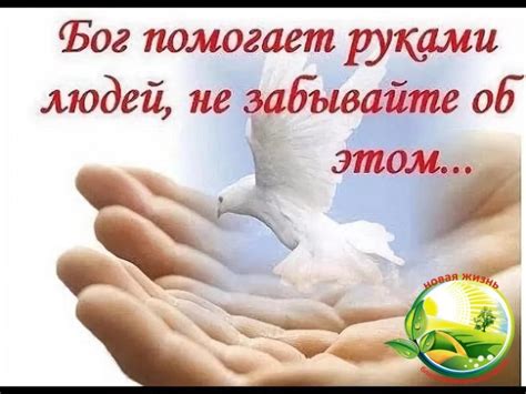 Высказывания о милосердии и БЛАГОТВОРИТЕЛЬНОСТИ - Афоризмо.ru