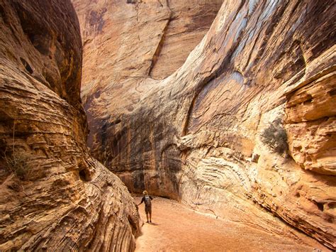 capitol reef national park pictures visit capitol reef country