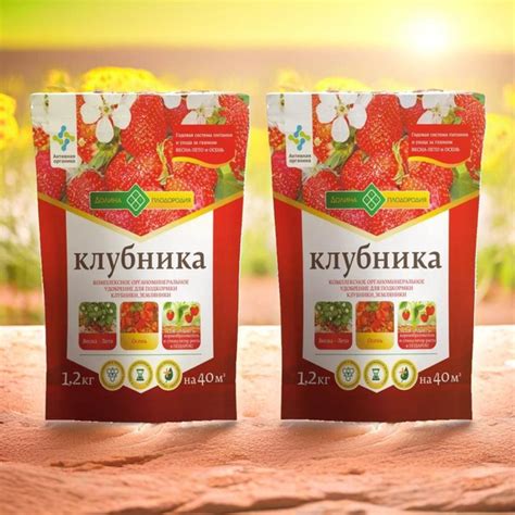 Комплексное органоминеральное удобрение КЛУБНИКА для подкормки клубники ...