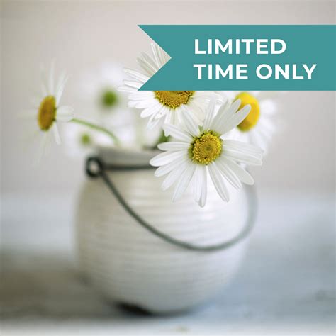 Massage San Francisco - Rejuvenate at Earthbody