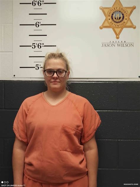 Exploring Arrest Photos in Danville, Virginia: Public Records and Mug Shots 5