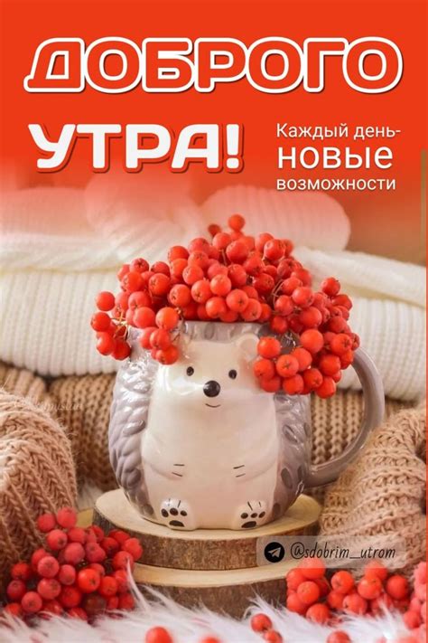 Мир красивых открыток
