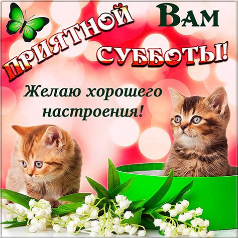 Открытки с субботними пожеланиями и веселыми надписями