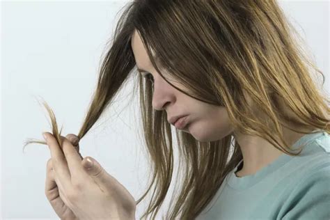 damaged hair stock  royalty  damaged hair images depositphotos