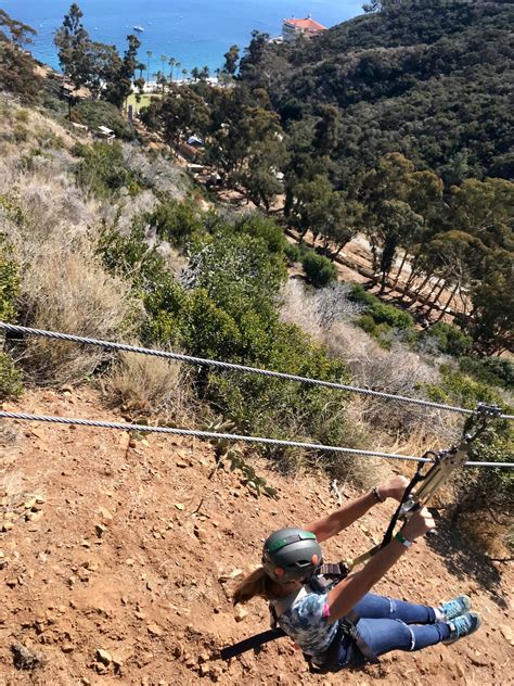 zip line on catalina island 4