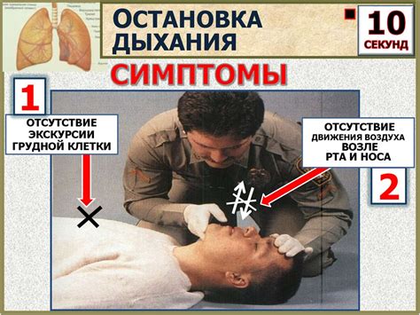 Сердечно-легочная реанимация - презентация онлайн