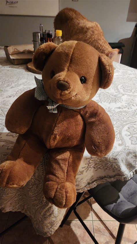 The moment you've all been waiting for... they're home! : r/Teddybears