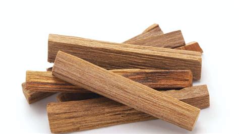 Promoting Sandalwood Cultivation For Sustainable Agroforestry In India ...