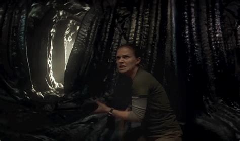 Annihilation Film Review – Filmsane