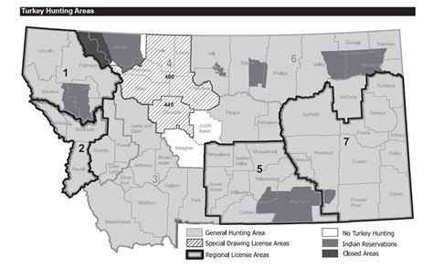 Prolific turkey populations spread hunting opportunities across Montana ...