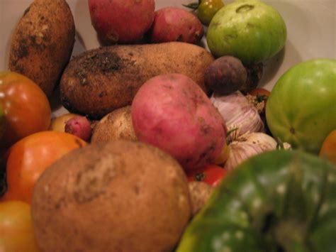 Cured Disease Naturally - Medium